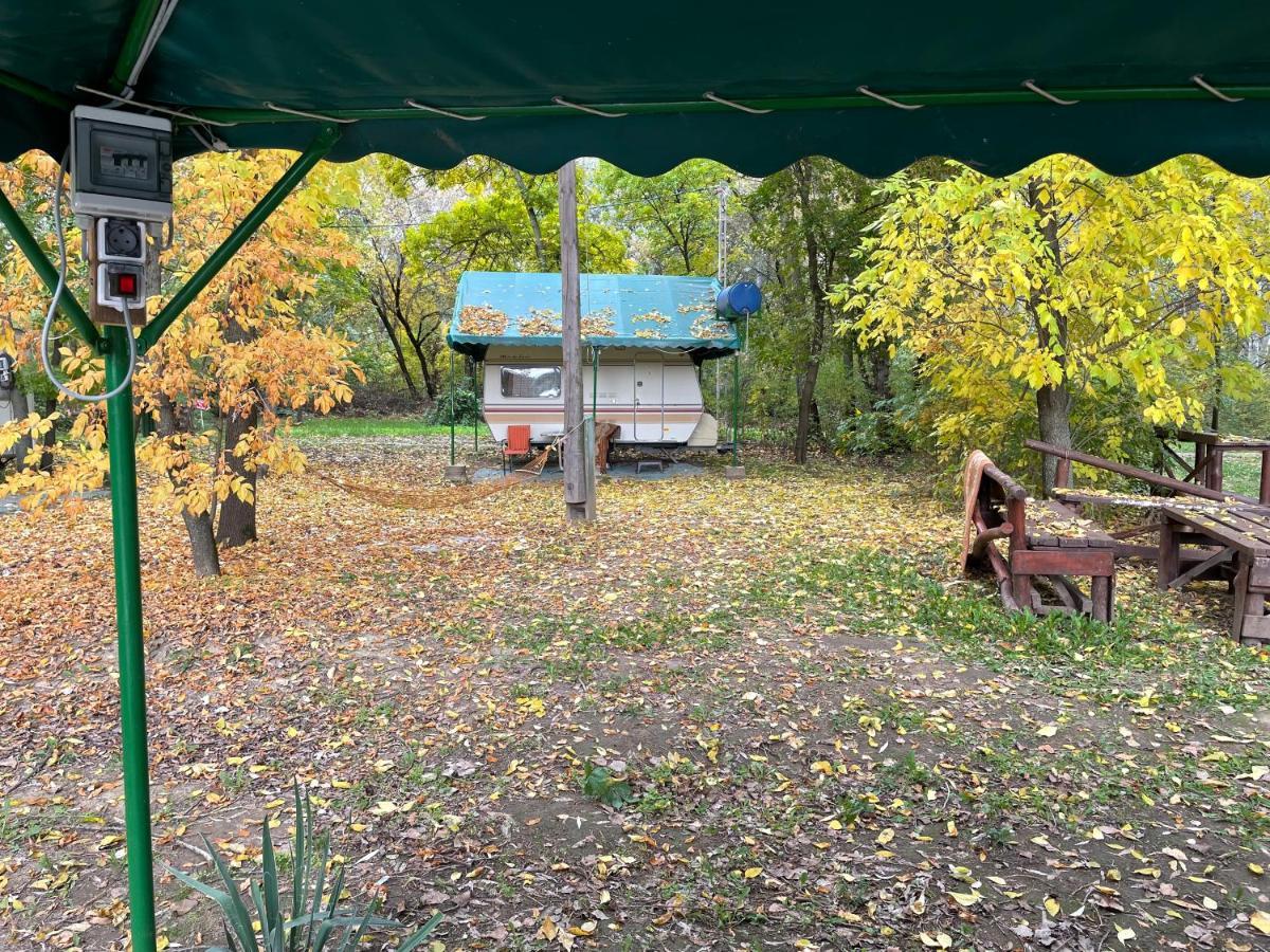 Tisza-Beach Wild Camping 5 Σέγκεντ Εξωτερικό φωτογραφία