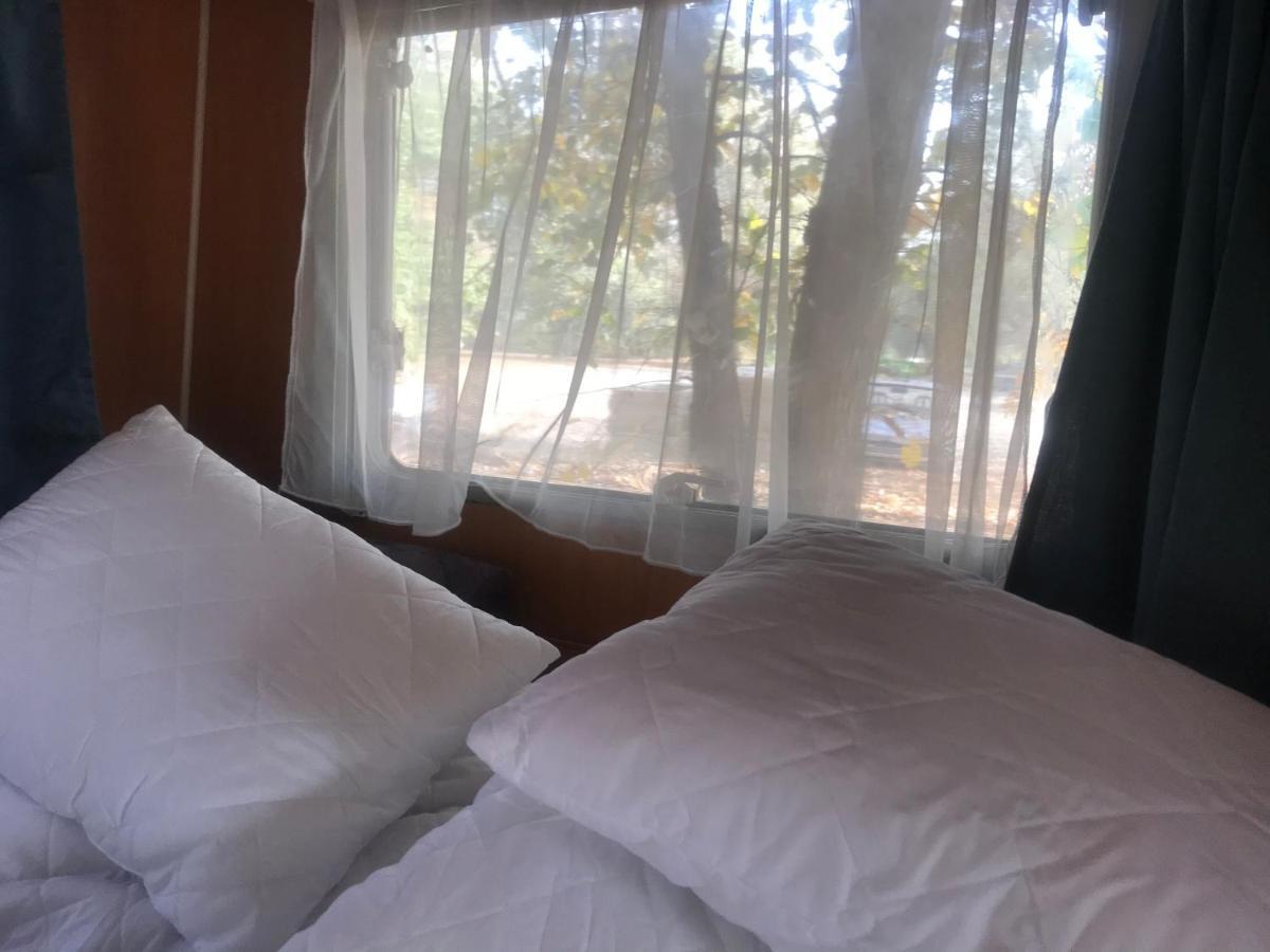 Tisza-Beach Wild Camping 5 Σέγκεντ Εξωτερικό φωτογραφία