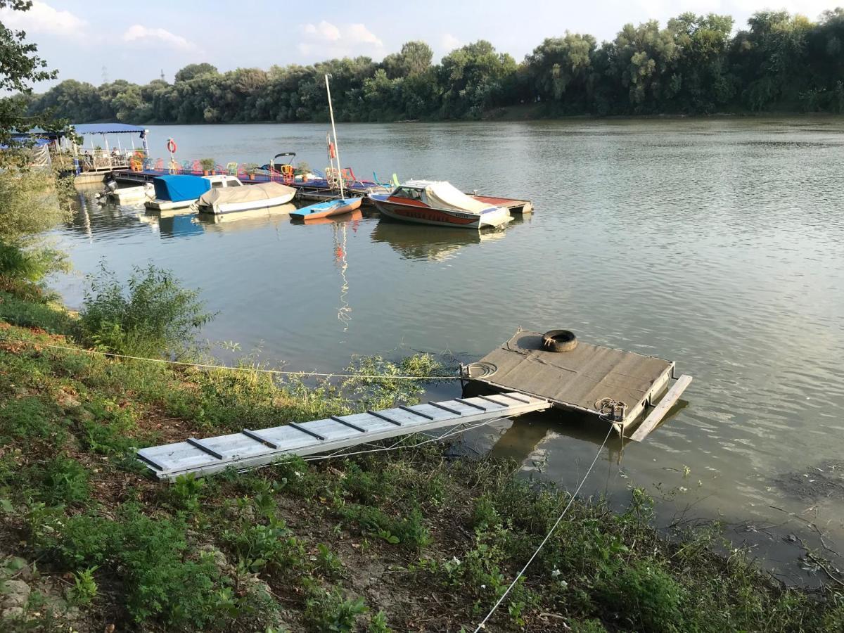 Tisza-Beach Wild Camping 5 Σέγκεντ Εξωτερικό φωτογραφία
