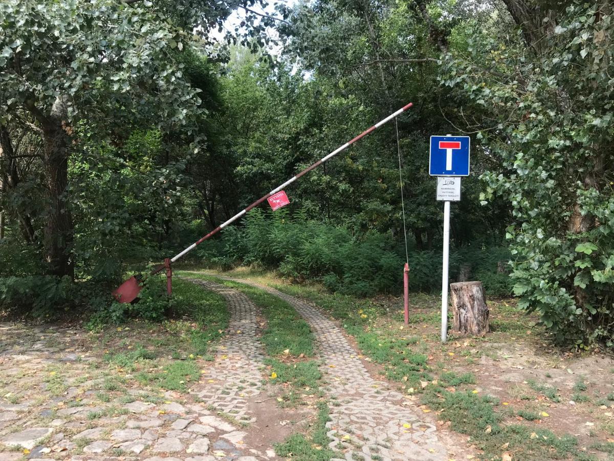 Tisza-Beach Wild Camping 5 Σέγκεντ Εξωτερικό φωτογραφία