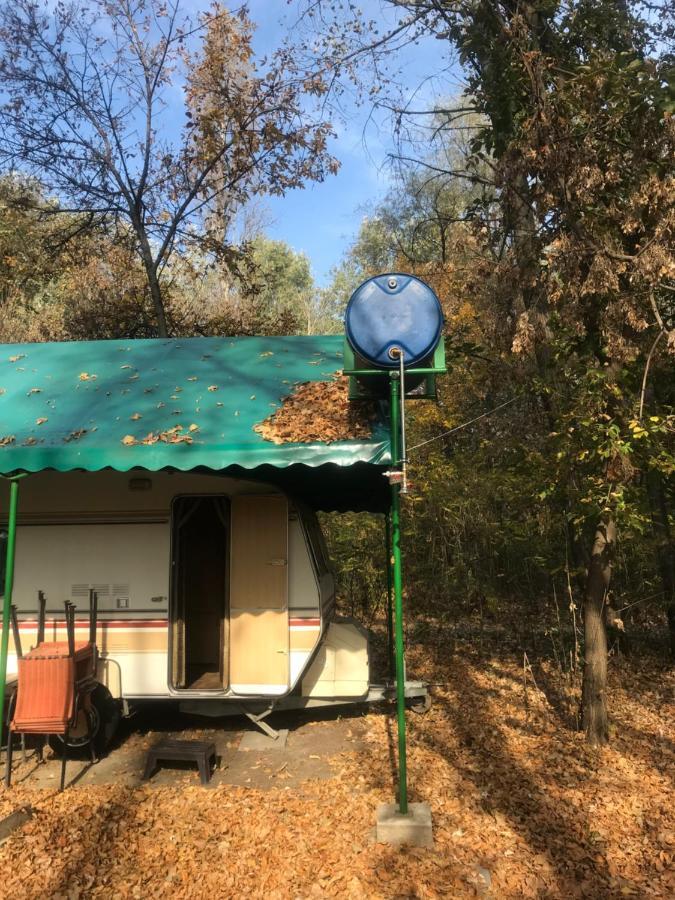 Tisza-Beach Wild Camping 5 Σέγκεντ Εξωτερικό φωτογραφία